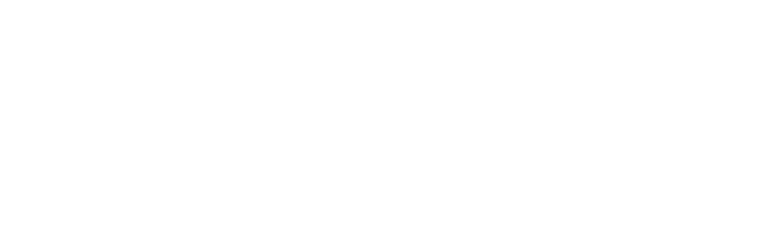 Flight Experience Singapore